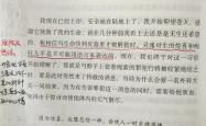 波尔图传射建功，泰山新星横空出世，场边球探频频记笔记